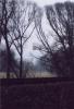 Herbststimmung_(1)